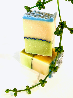 Coconut Lemongrass Hand Sink Bar